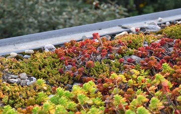 the cost of North Bockhampton green roof installation