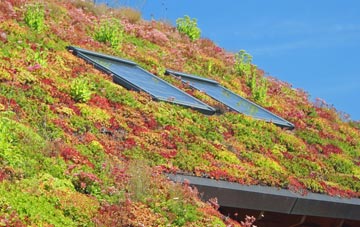 North Bockhampton living roof systems