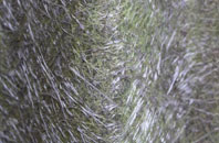 North Bockhampton fibreglass roof work